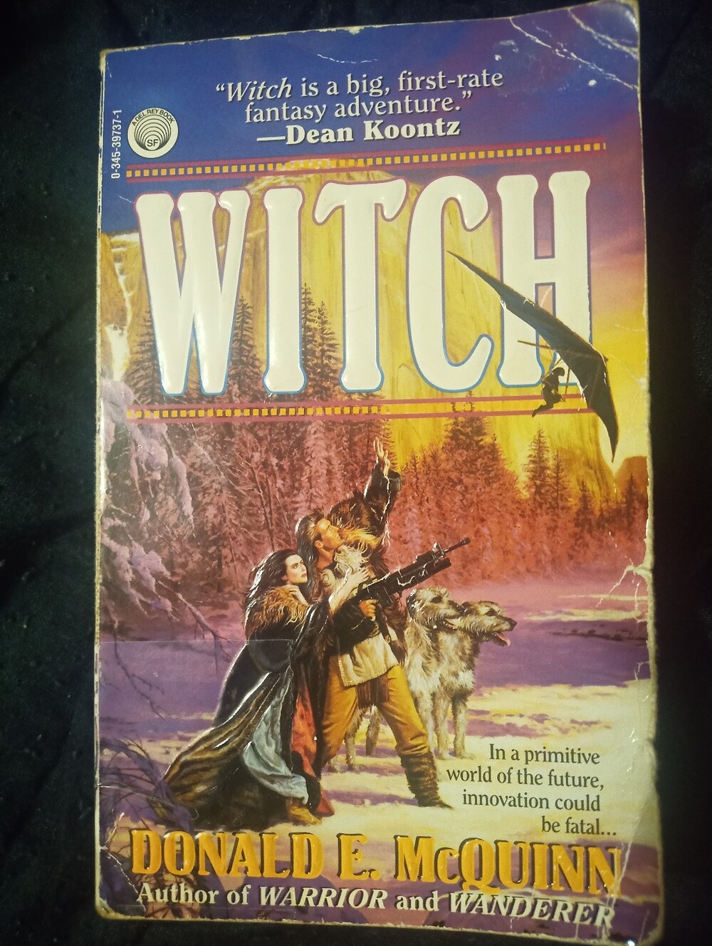 Donald E. McQuinn: Witch